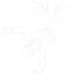Nii Kerge logo